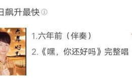 爆料新闻的歌曲,揭秘热门歌曲背后的故事