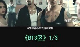 b13区在线观看,揭秘热门在线观看内容的魅力世界